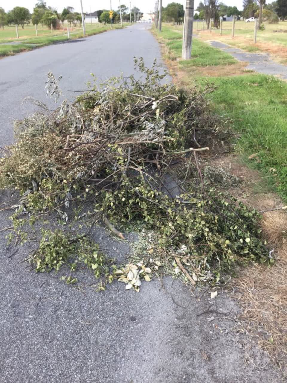The photograph attached to this rubbish/recycling report