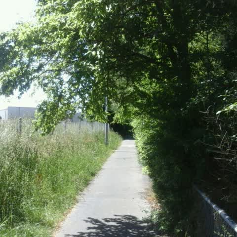 Roading/Streets, a report photo