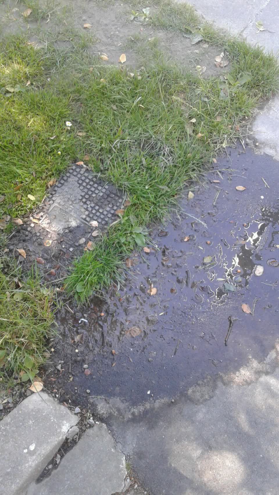 The photograph attached to this water supply report