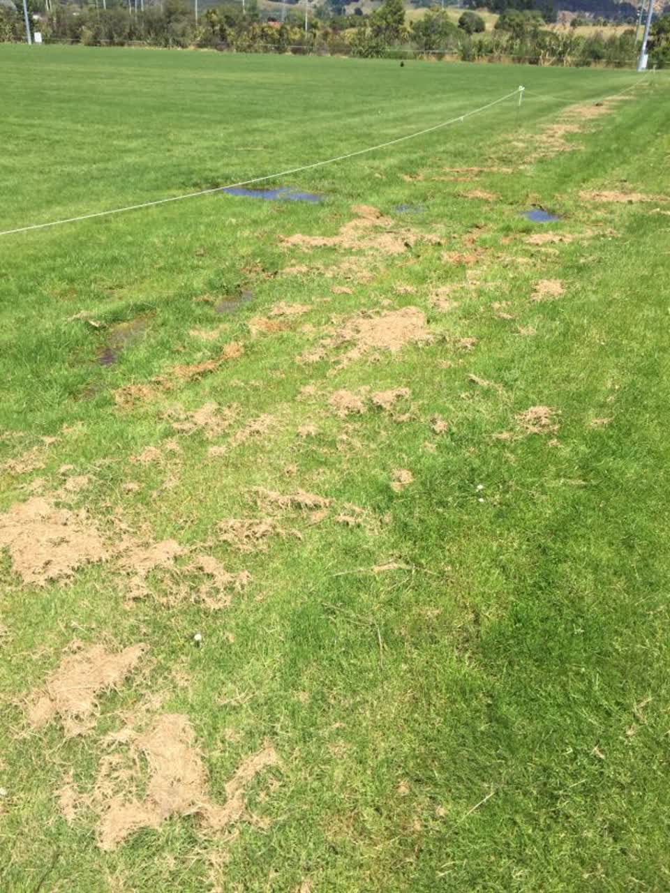 The photograph attached to this water supply report