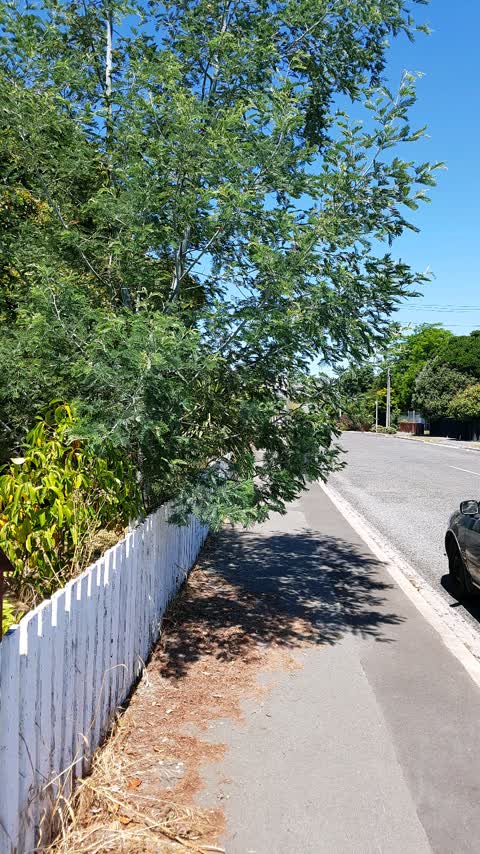 Roading/Streets, a report photo