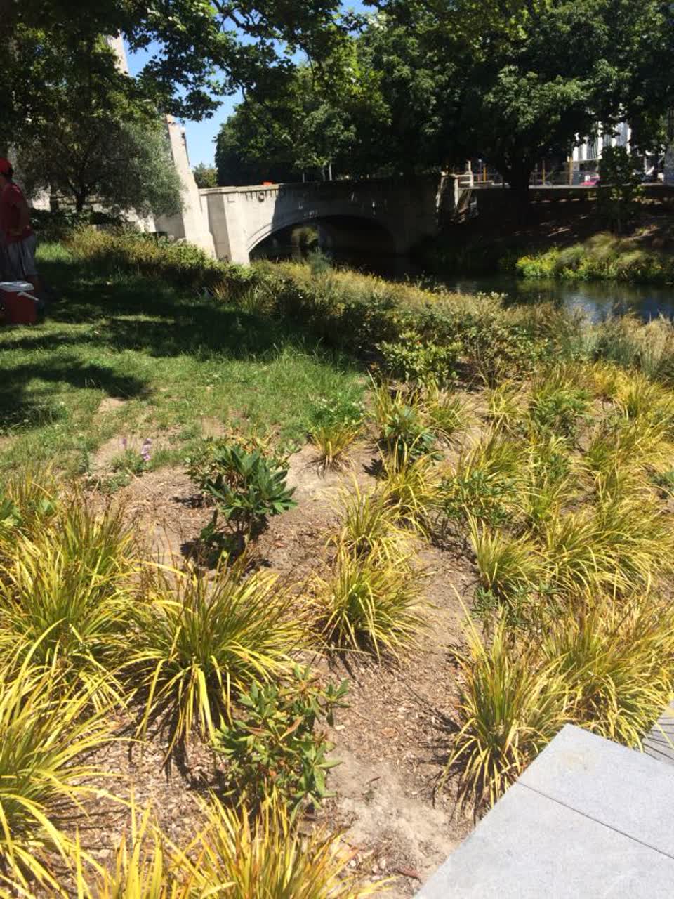 The photograph attached to this parks report