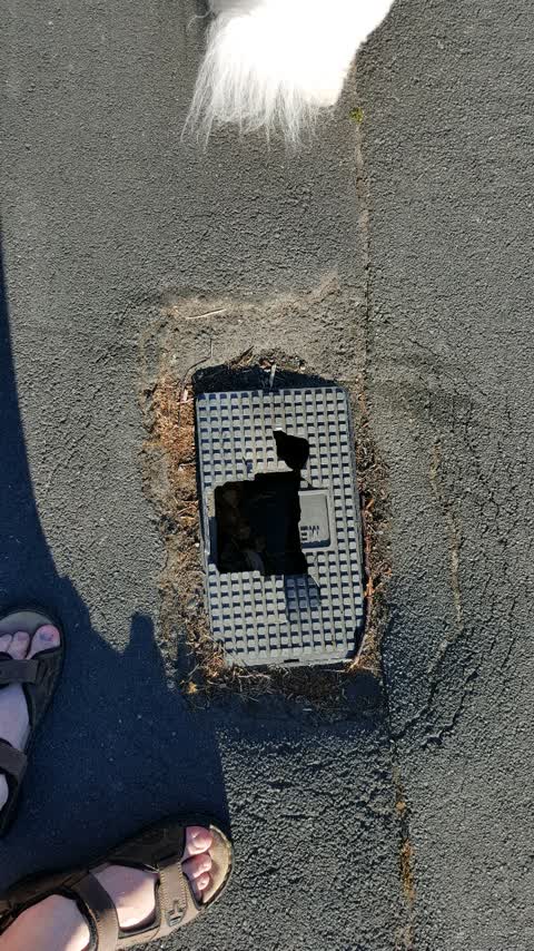 Wastewater/Stormwater, a report photo