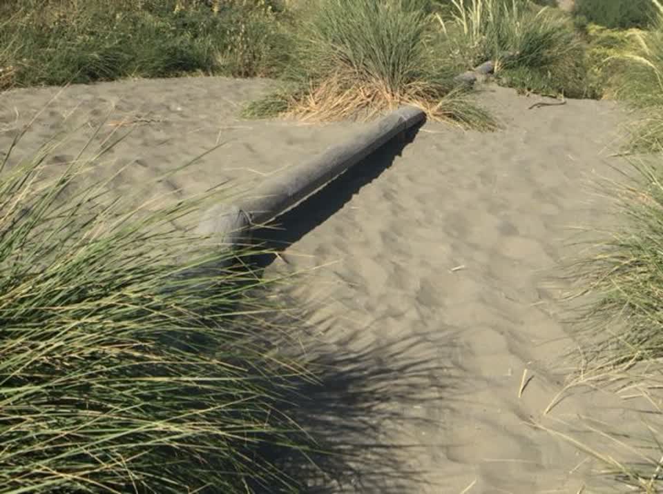 The photograph attached to this parks report