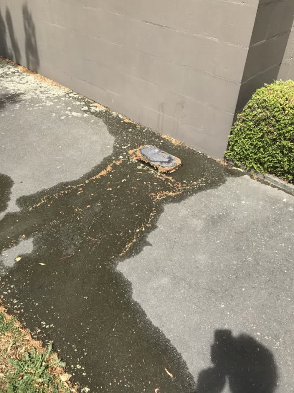 The photograph attached to this water supply report