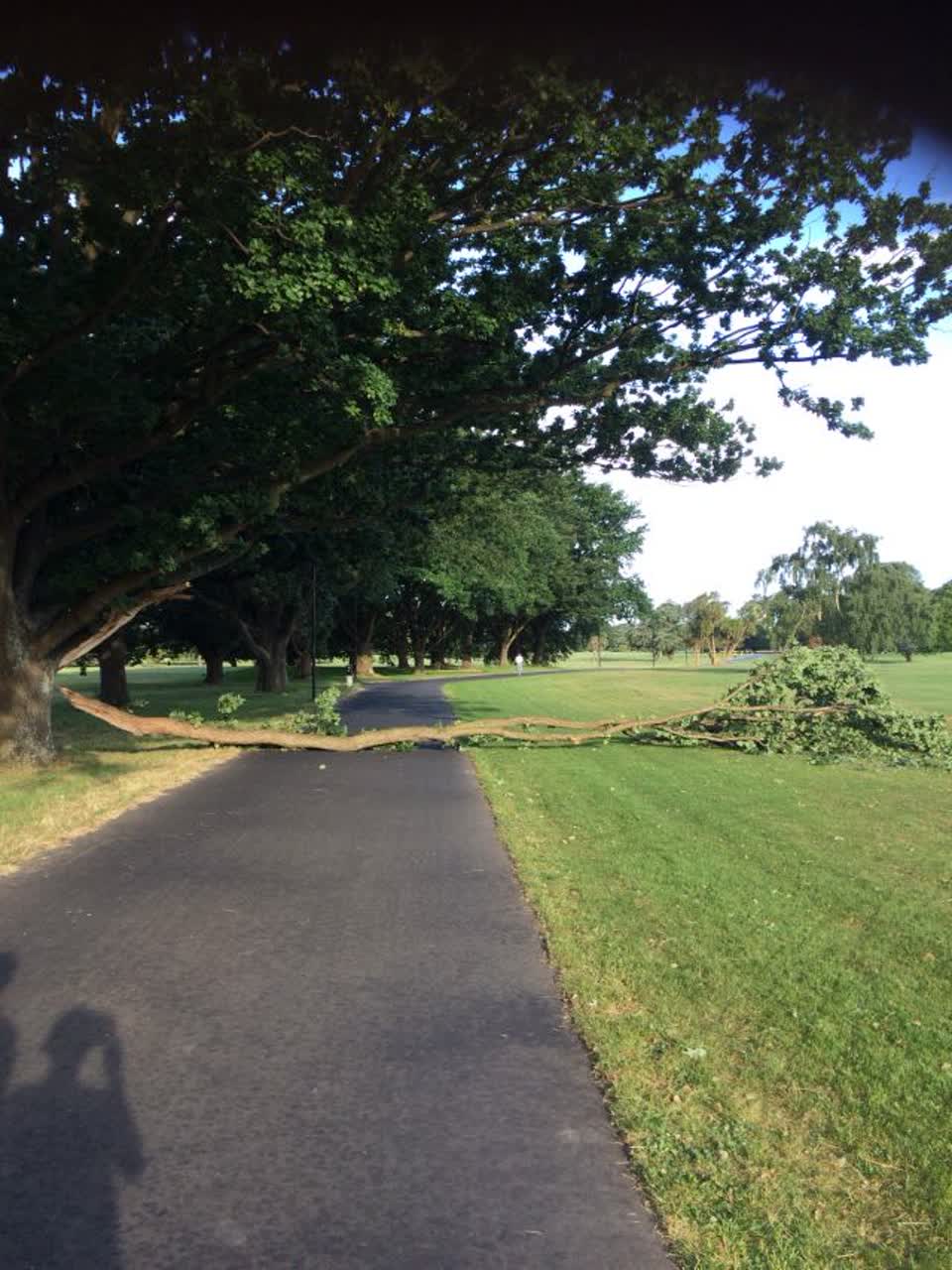 The photograph attached to this parks report
