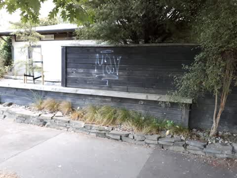 Graffiti, a report photo