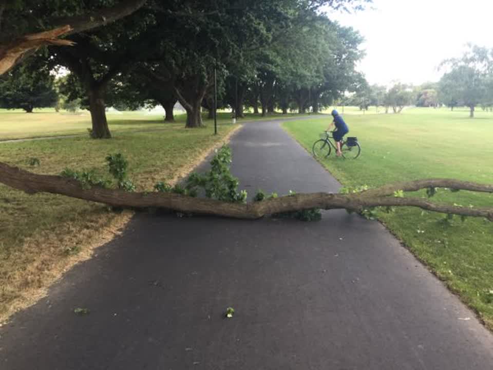 The photograph attached to this parks report