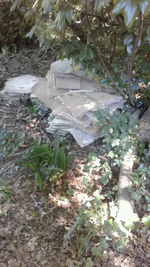 Rubbish/Recycling, a report photo