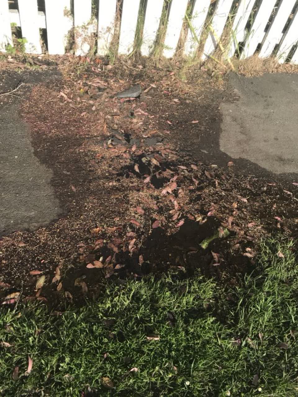 The photograph attached to this water supply report