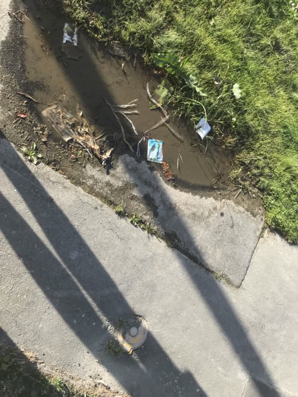 The photograph attached to this water supply report