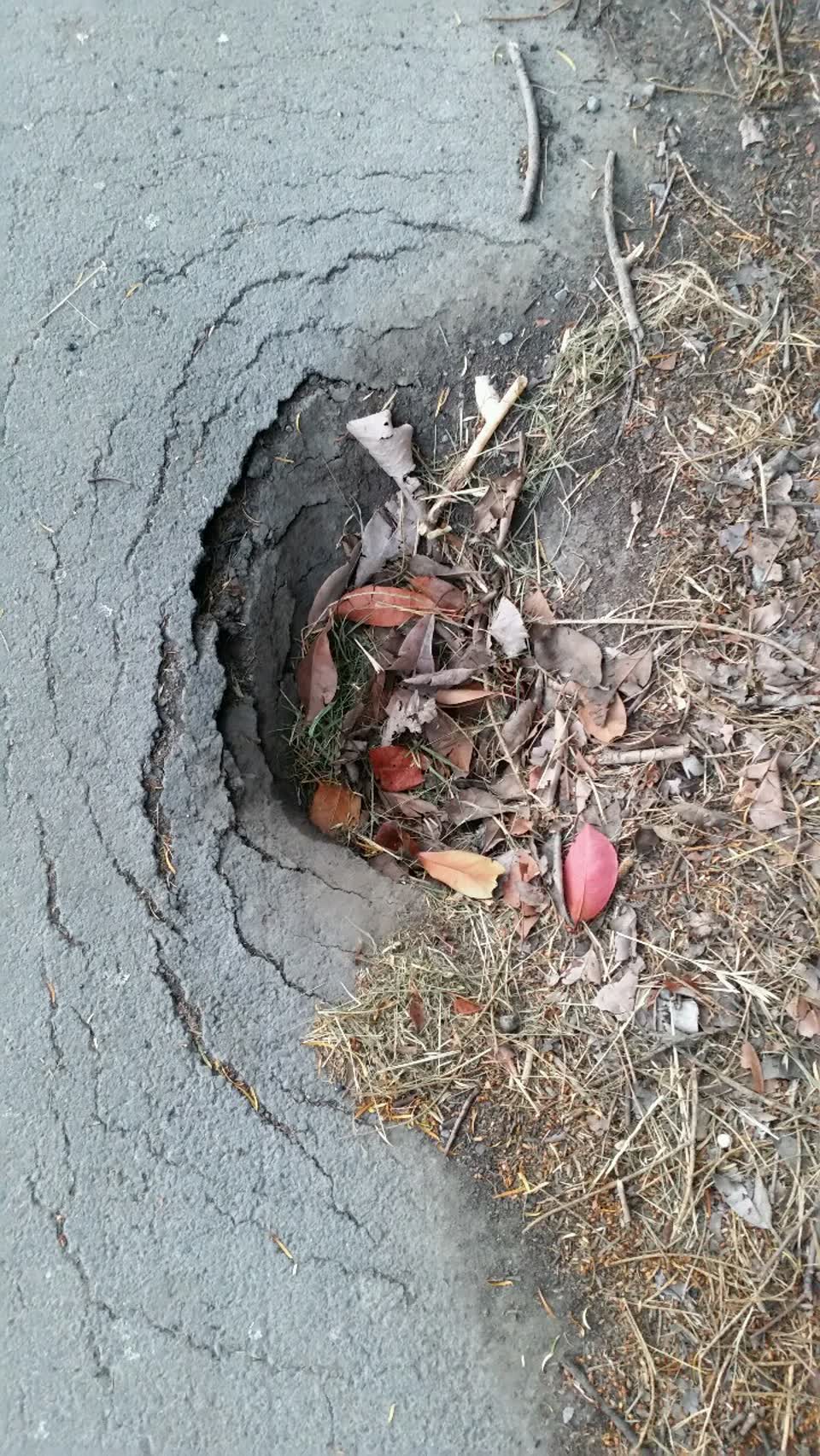 The photograph attached to this roading/streets report