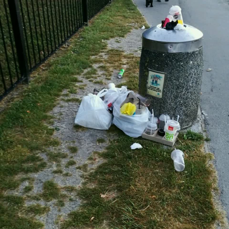 The photograph attached to this rubbish/recycling report