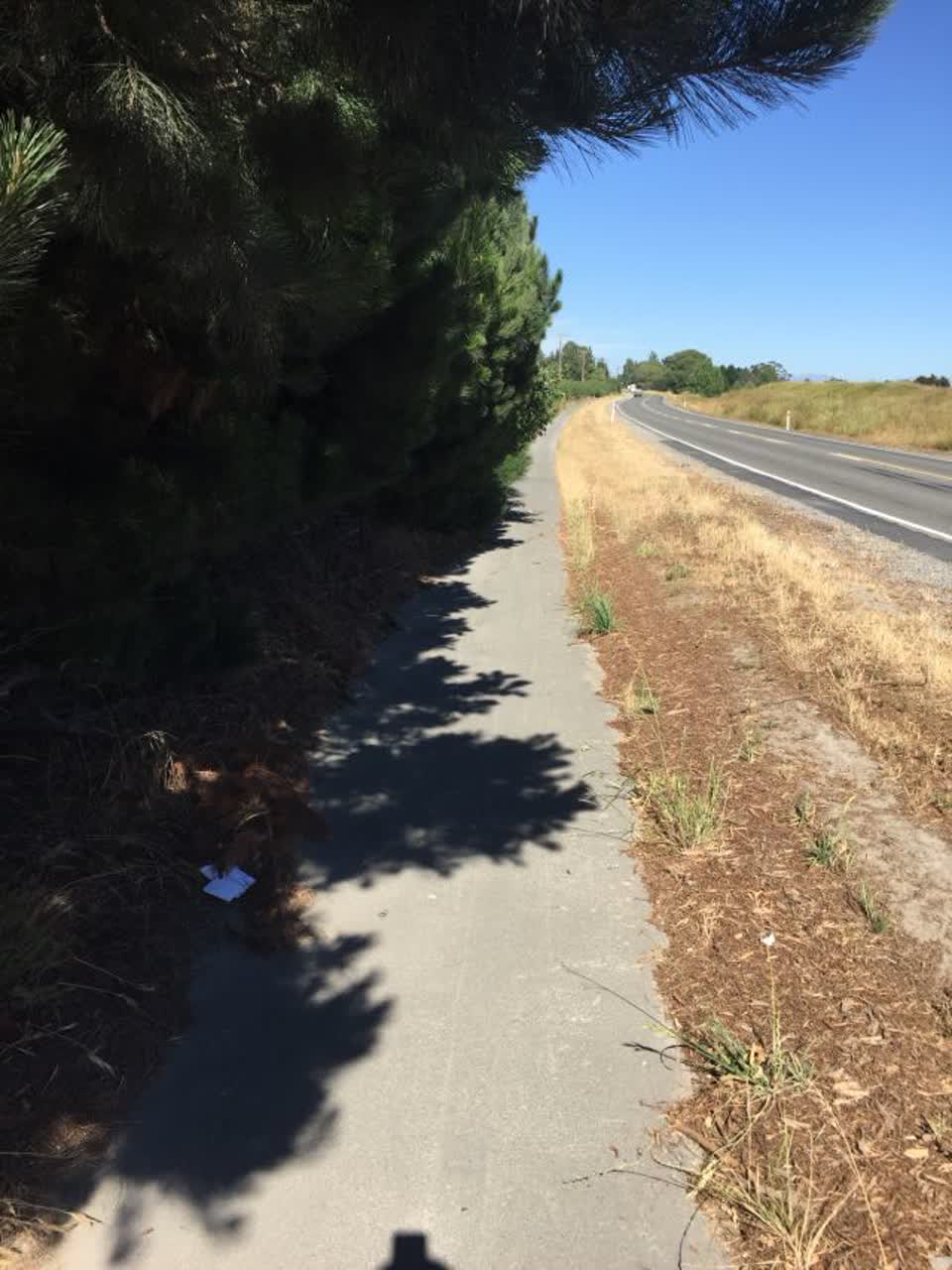 The photograph attached to this roading/streets report