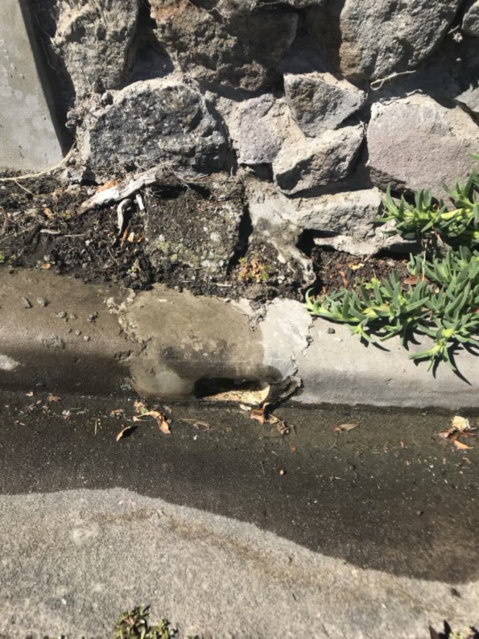 The photograph attached to this wastewater/stormwater report