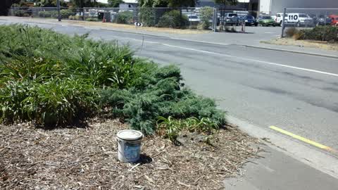 Roading/Streets, a report photo