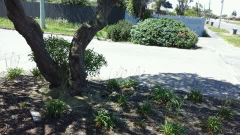 Roading/Streets, a report photo