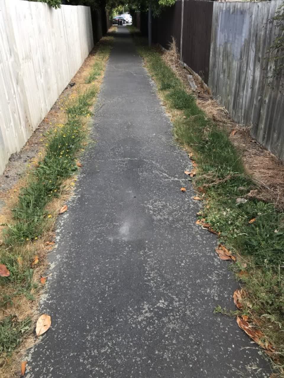 The photograph attached to this parks report