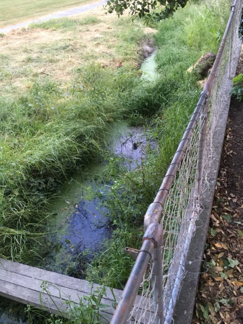 The photograph attached to this parks report