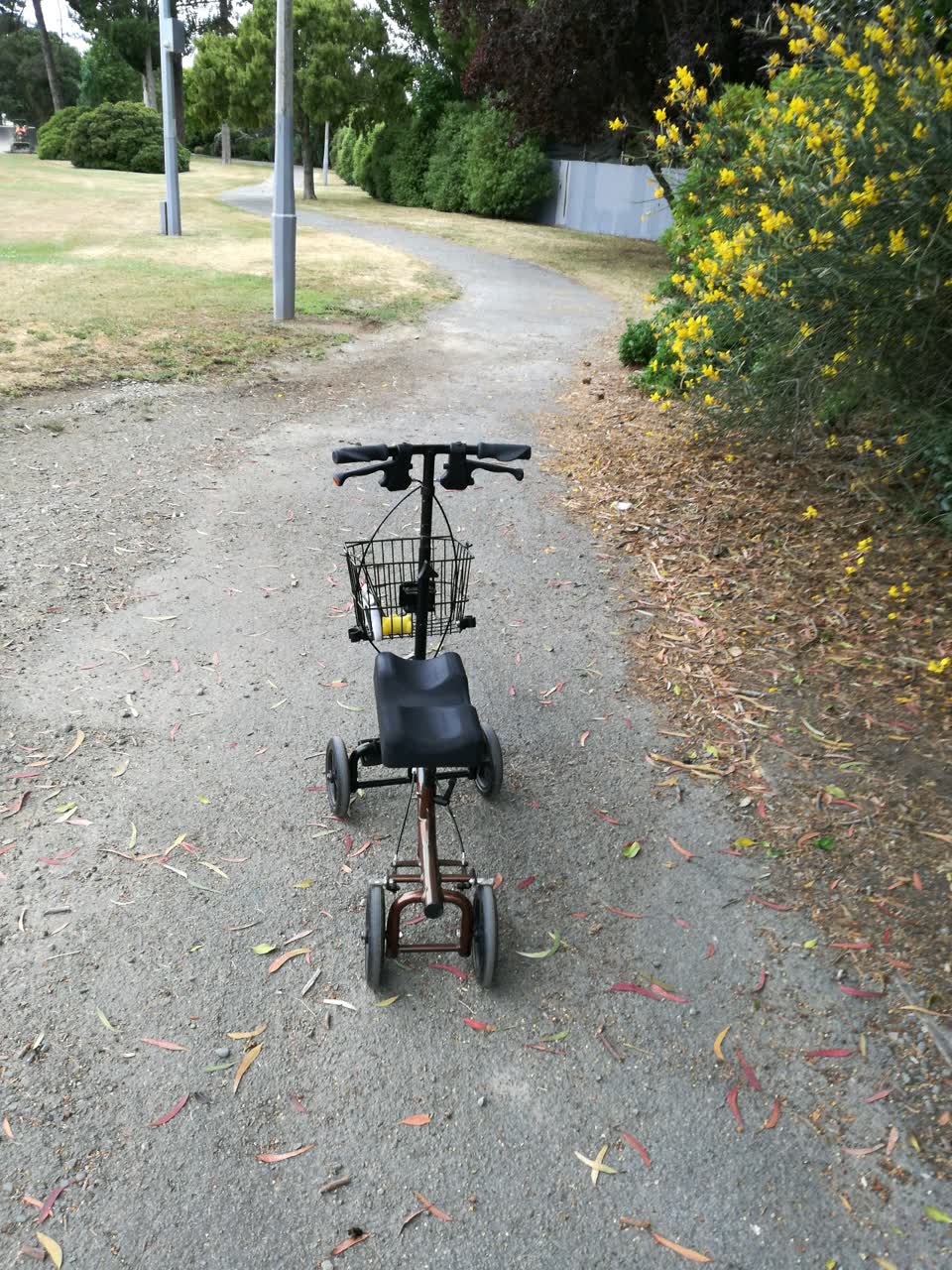 The photograph attached to this parks report