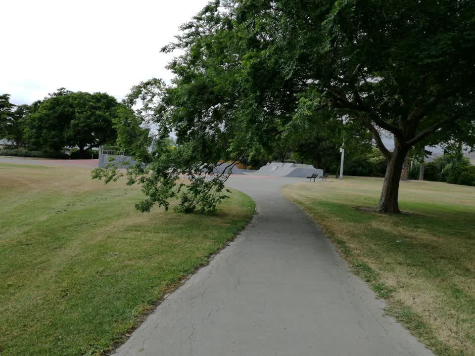 The photograph attached to this parks report