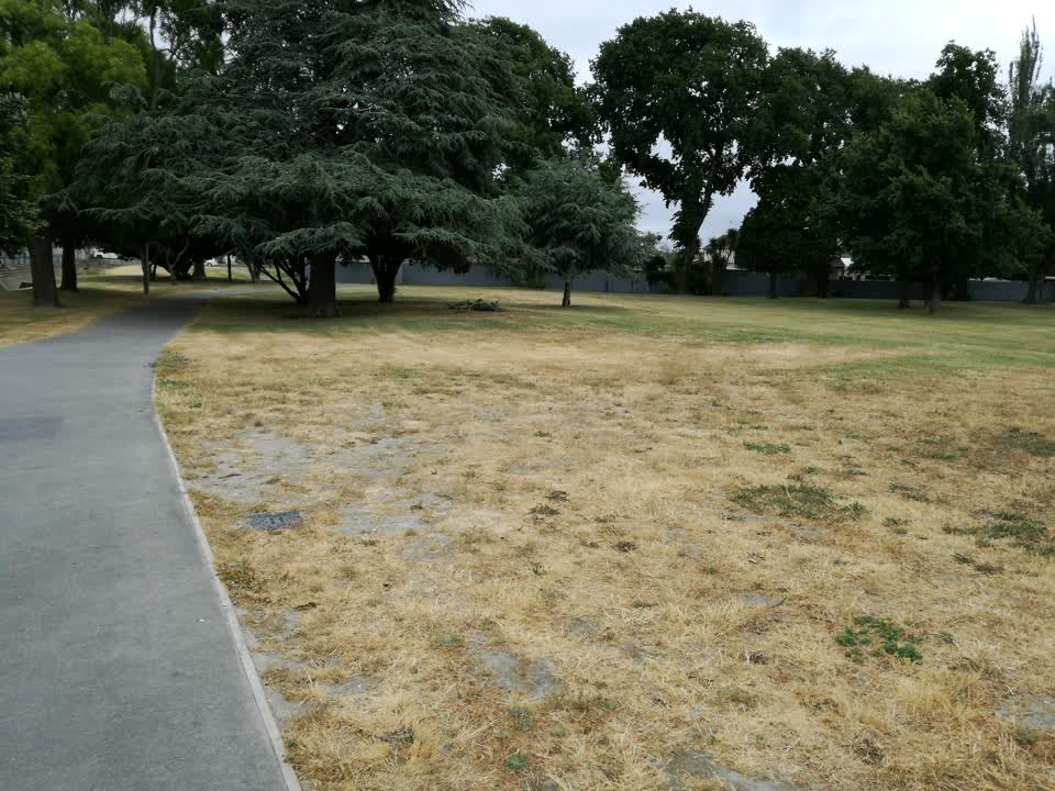 The photograph attached to this parks report