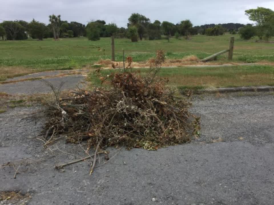 The photograph attached to this rubbish/recycling report