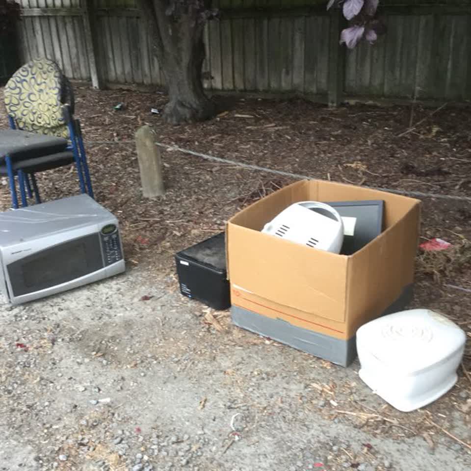The photograph attached to this parks report