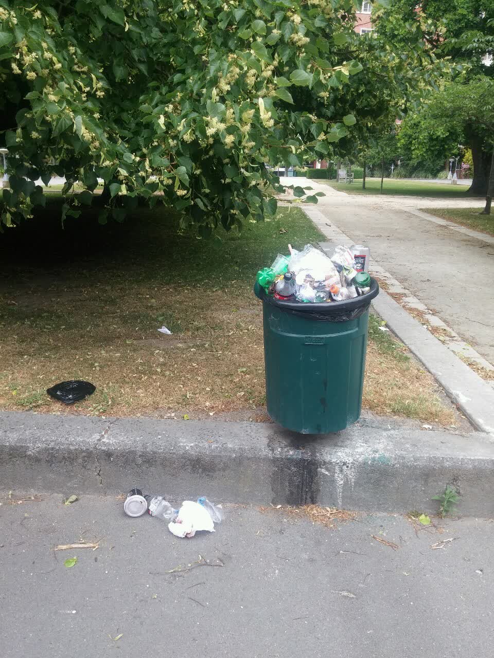 The photograph attached to this rubbish/recycling report
