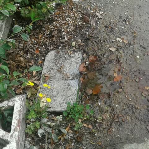 Water Supply, a report photo