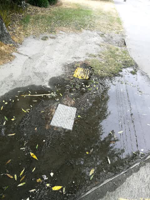 Water Supply, a report photo
