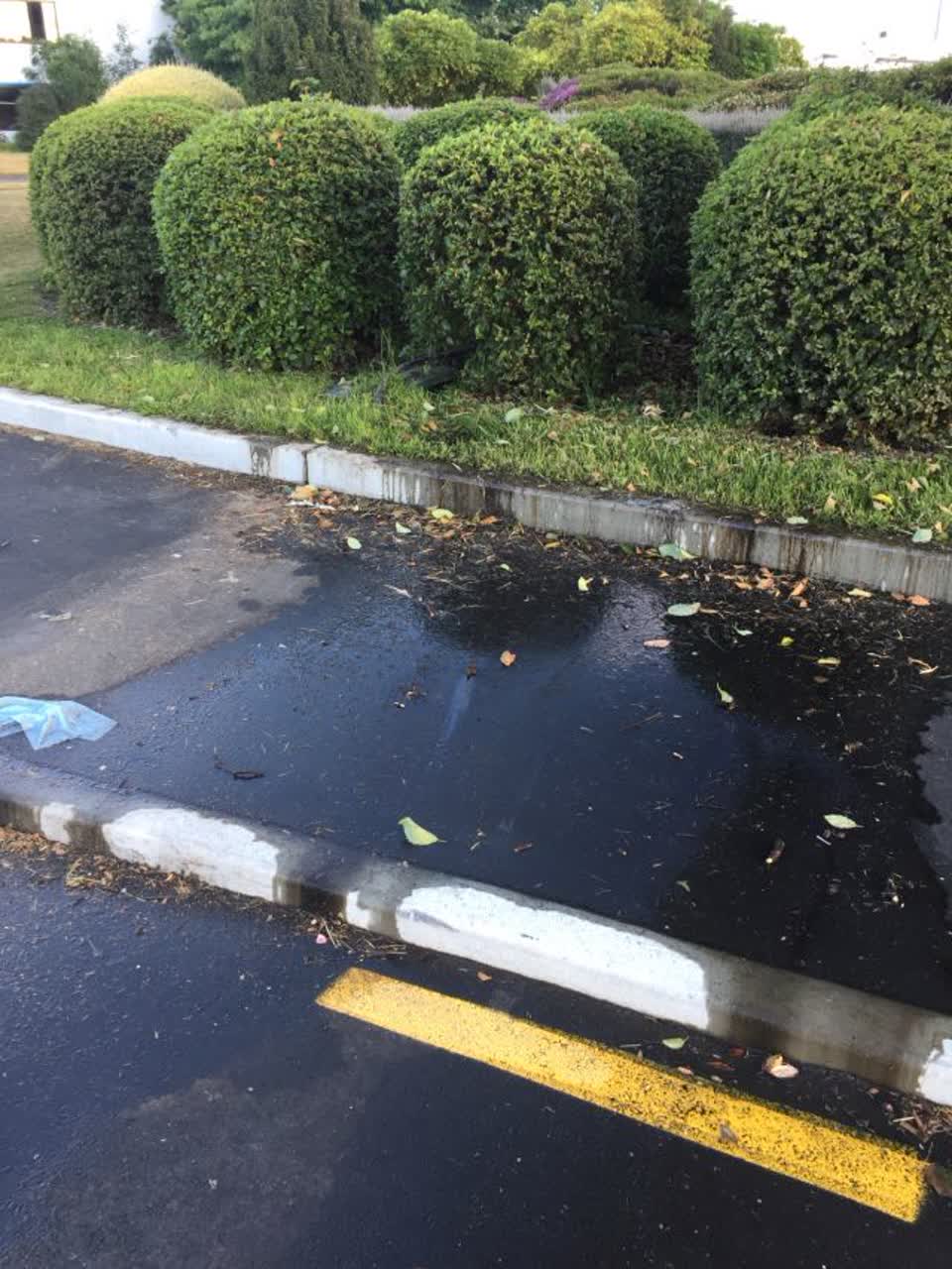 The photograph attached to this water supply report