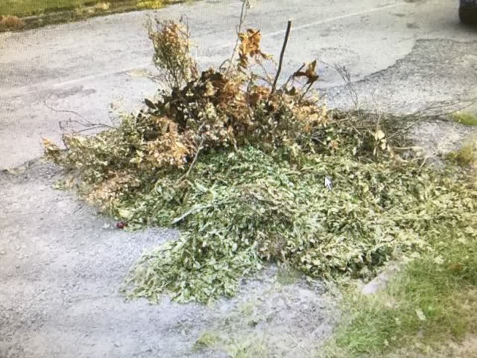 The photograph attached to this rubbish/recycling report
