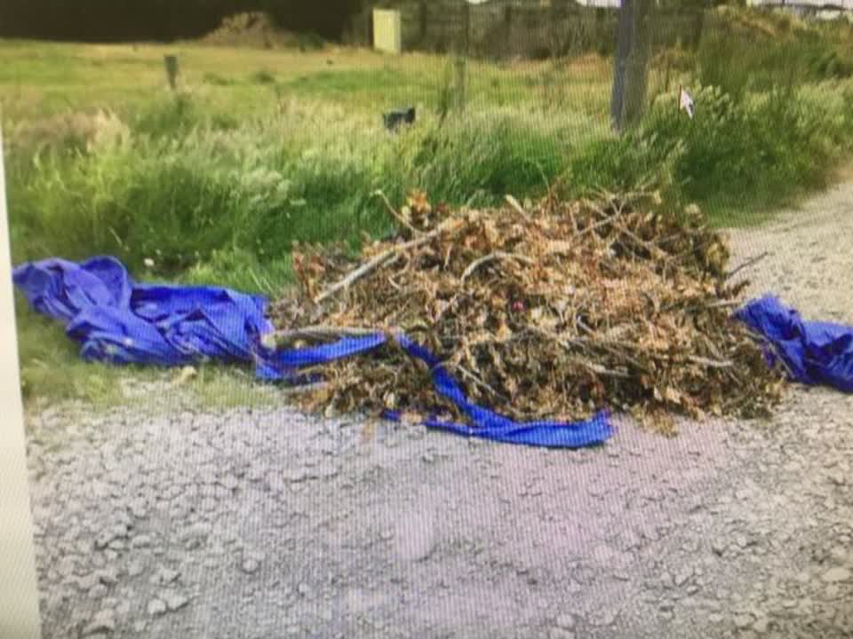 The photograph attached to this rubbish/recycling report
