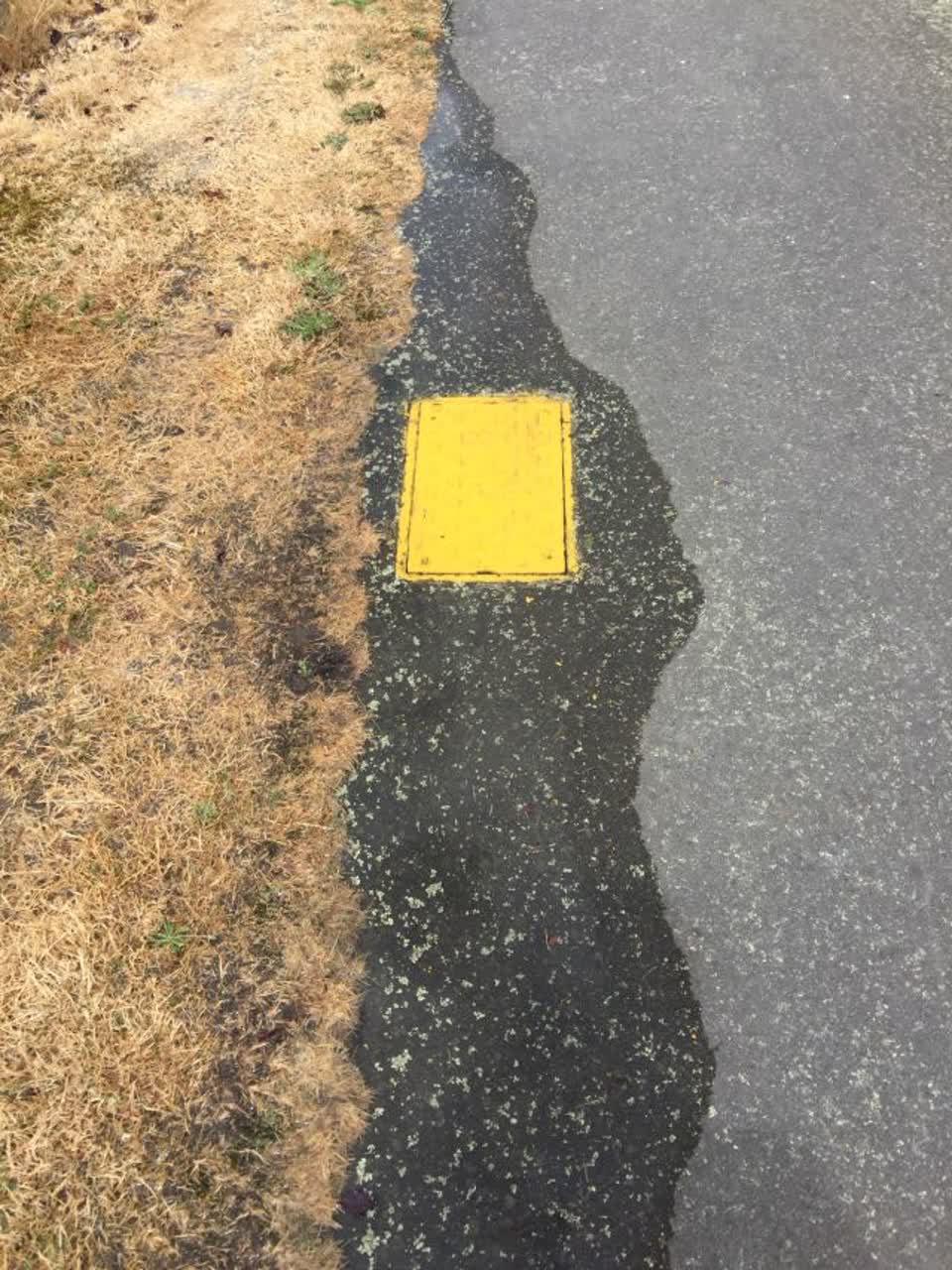 The photograph attached to this water supply report