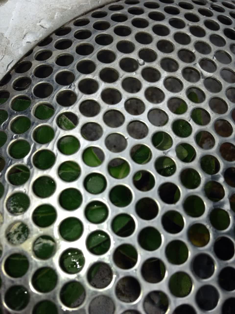 The photograph attached to this water supply report