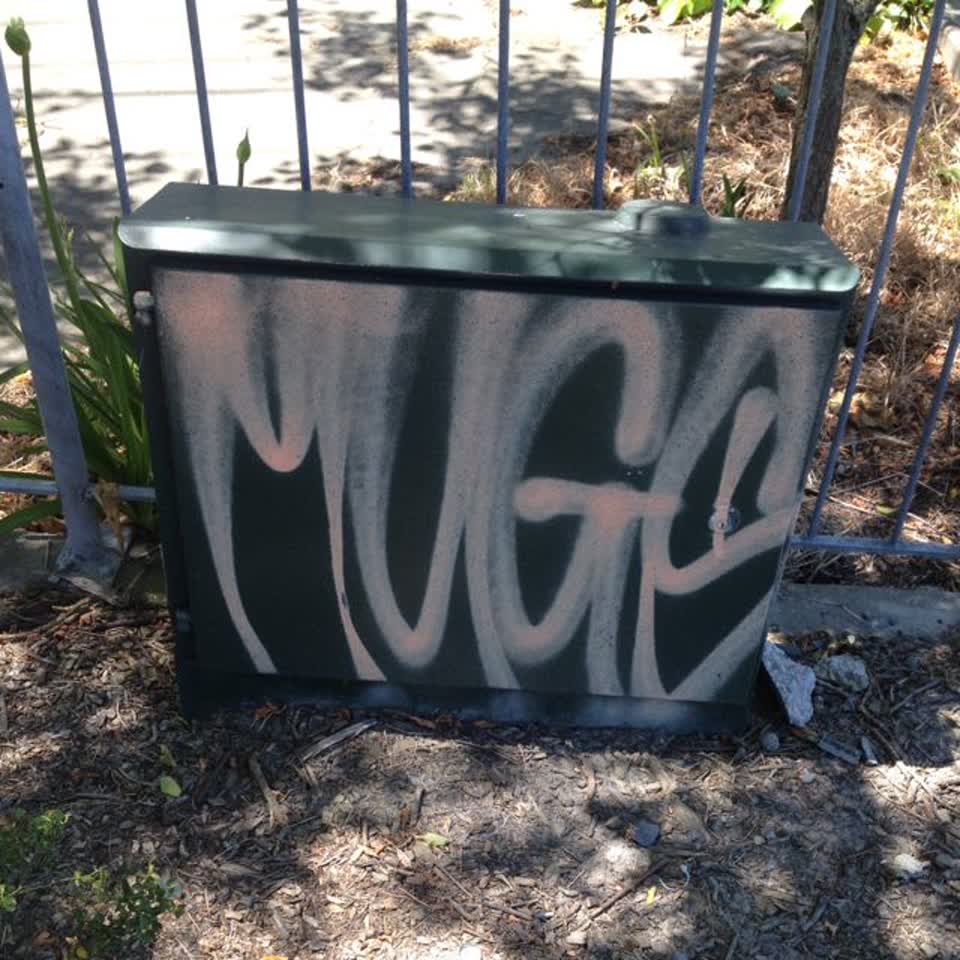 The photograph attached to this graffiti report
