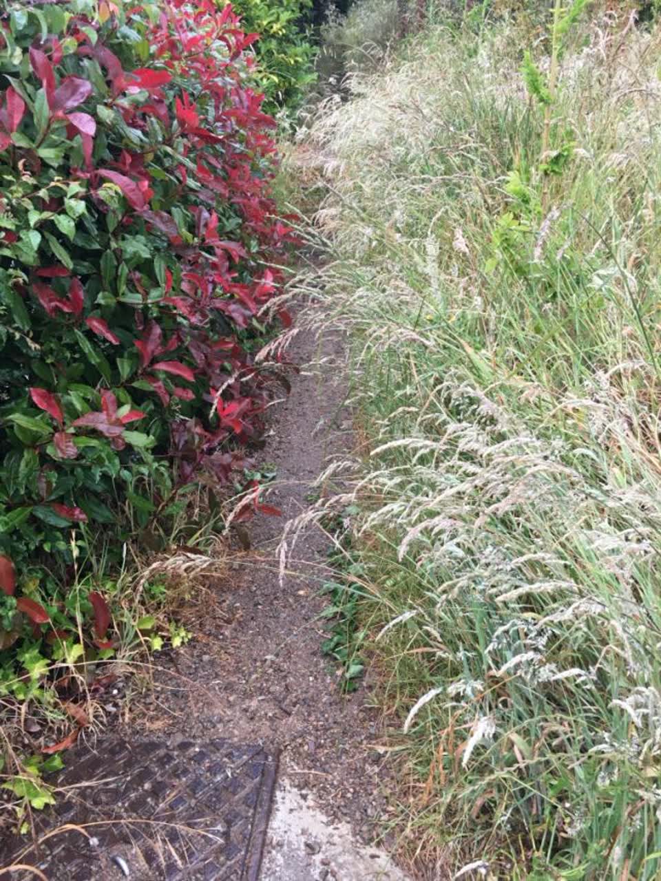 The photograph attached to this parks report
