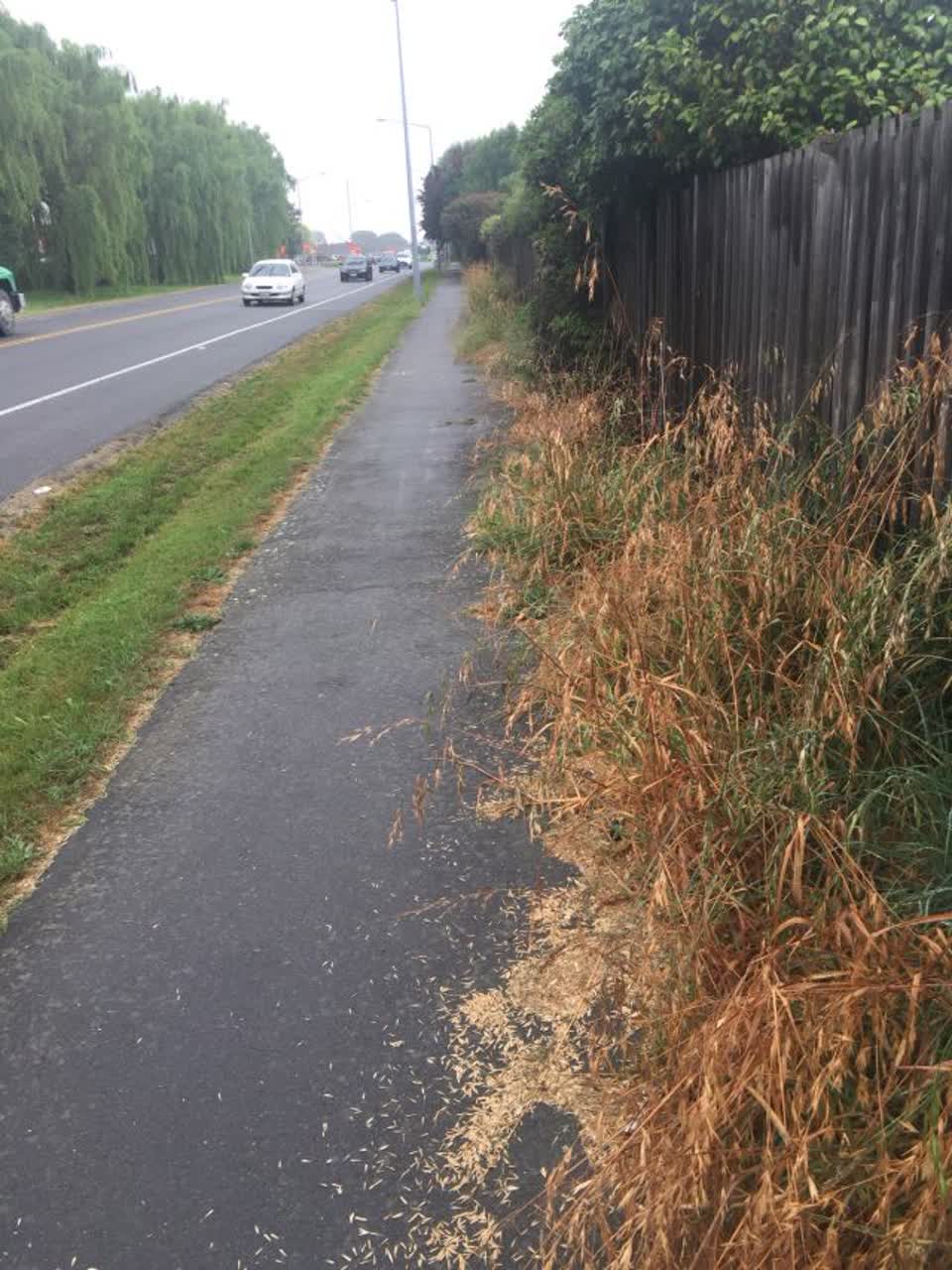 The photograph attached to this roading/streets report