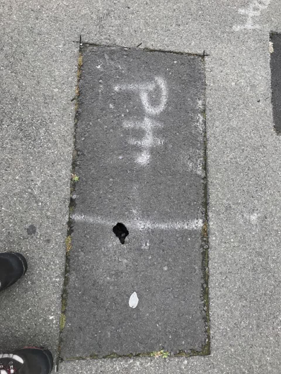 The photograph attached to this roading/streets report