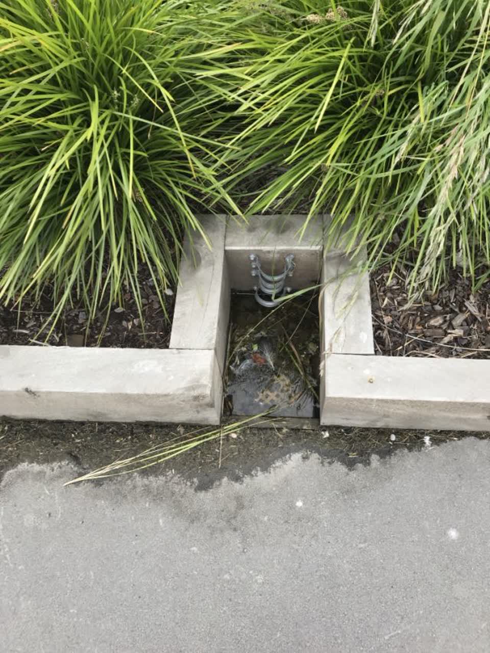 The photograph attached to this water supply report