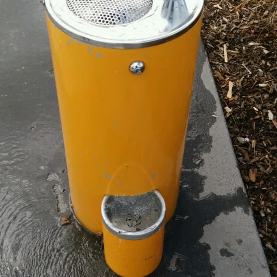 The photograph attached to this water supply report