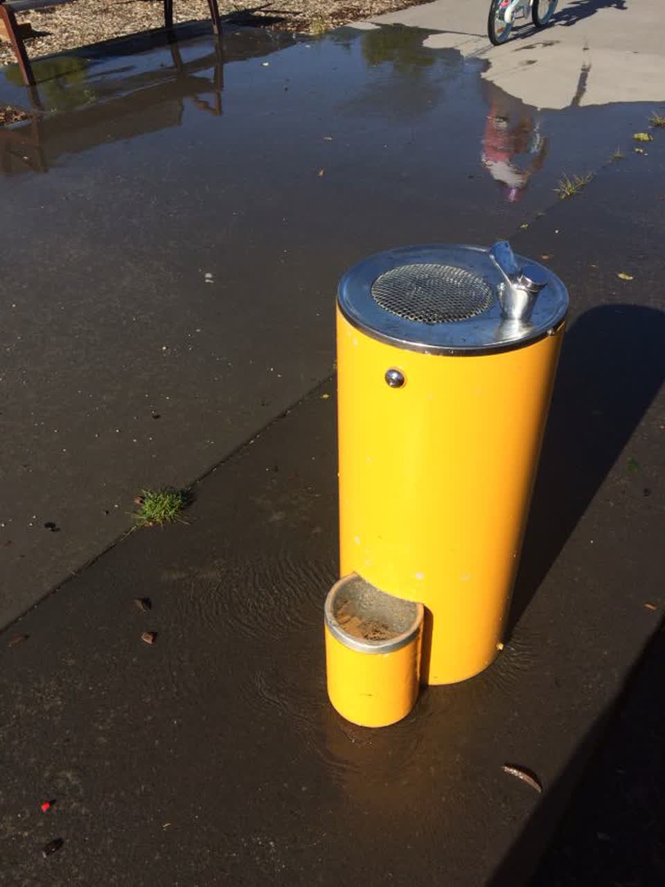 The photograph attached to this water supply report