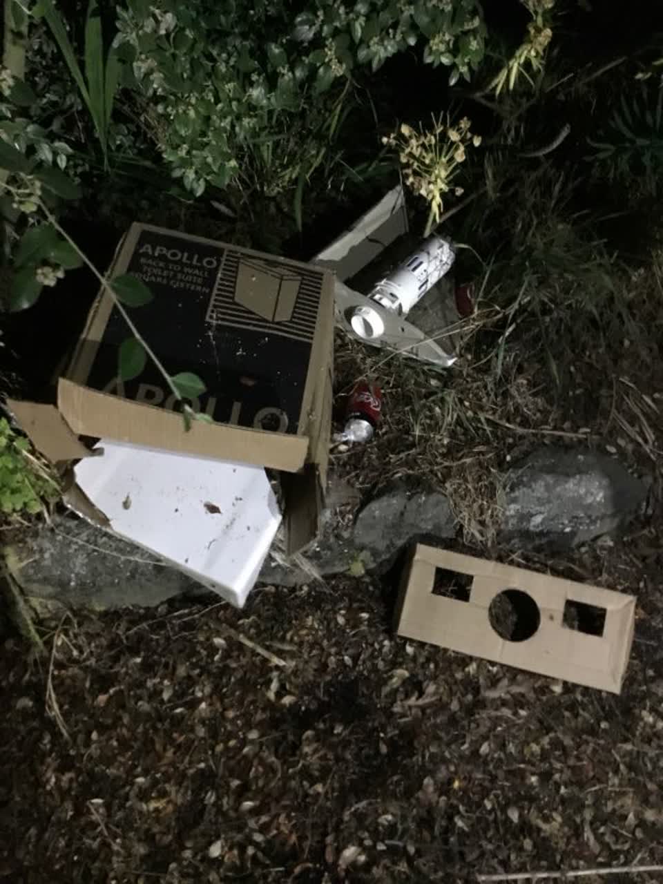 The photograph attached to this rubbish/recycling report