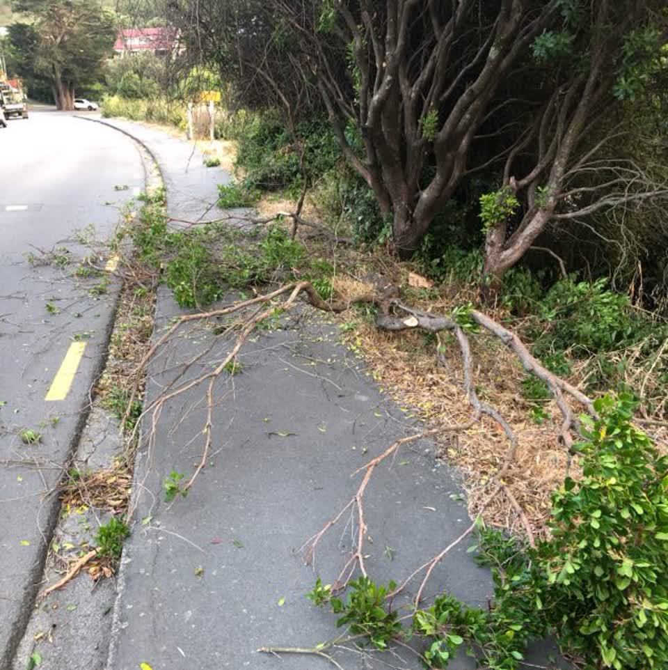 The photograph attached to this parks report
