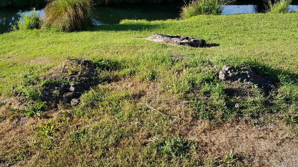 The photograph attached to this parks report