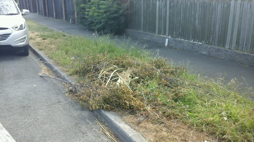 The photograph attached to this roading/streets report