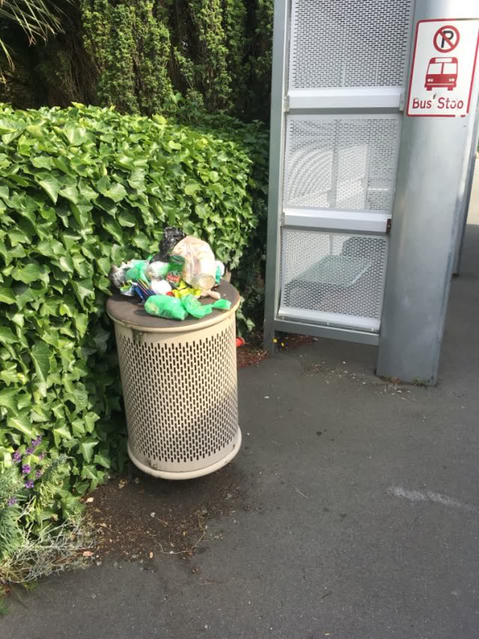 The photograph attached to this rubbish/recycling report