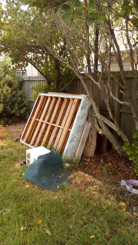 Rubbish/Recycling, a report photo