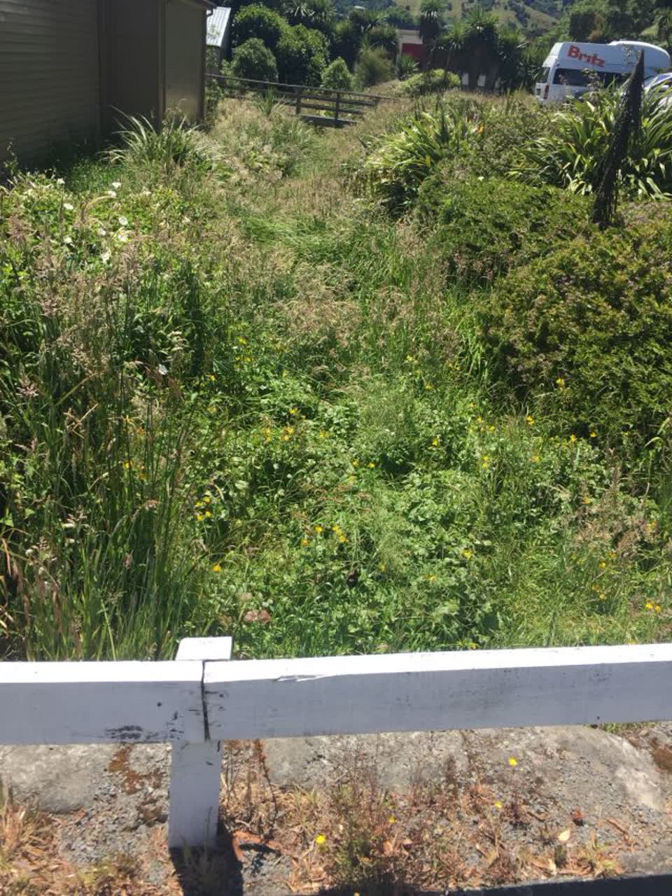 The photograph attached to this parks report
